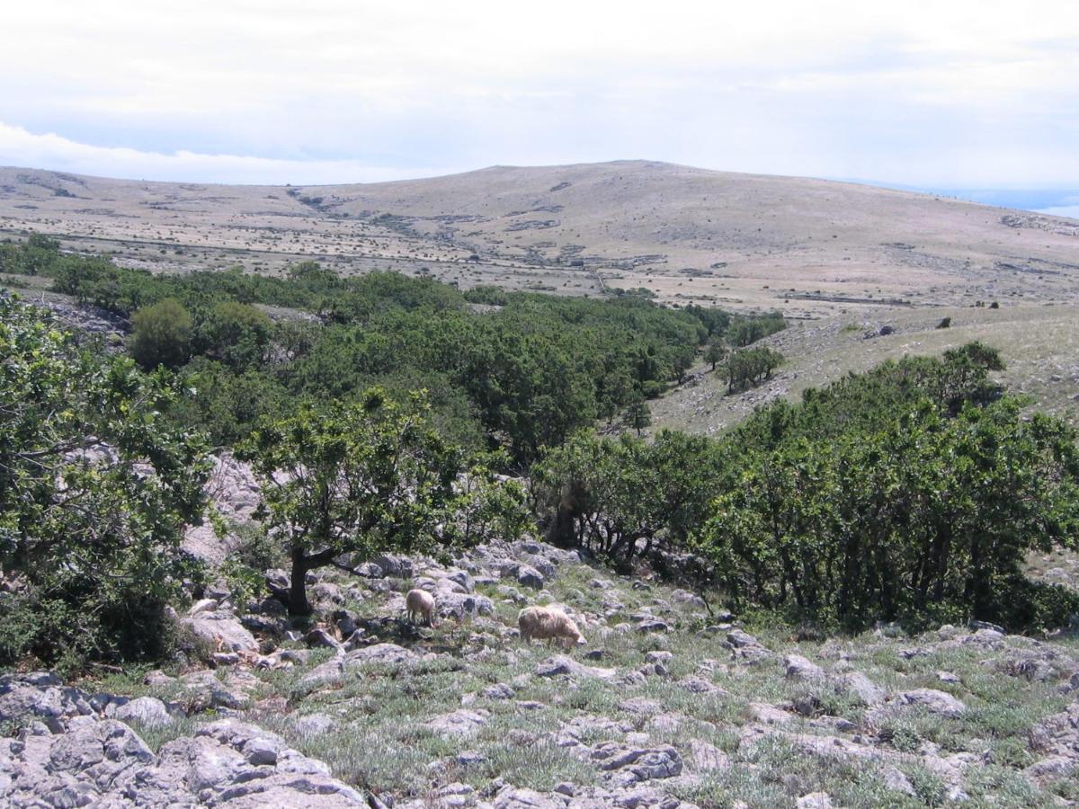 Stara Baška Rooms Nadia מראה חיצוני תמונה